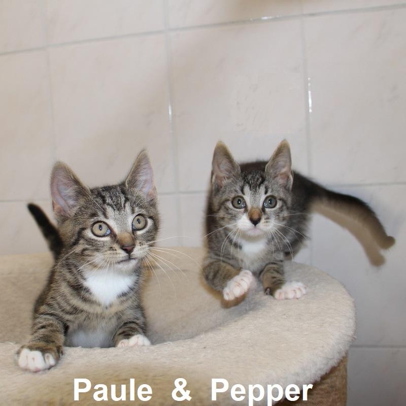 Paule & Pepper