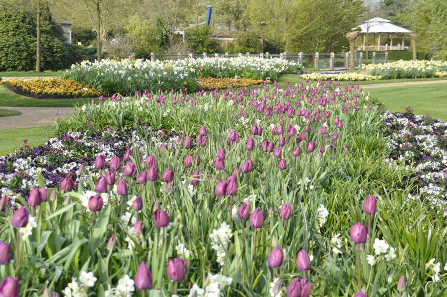 Blumenband Frühjahr