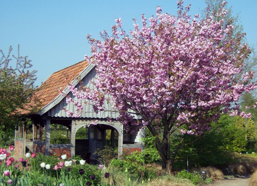Ernst Pagels Garten