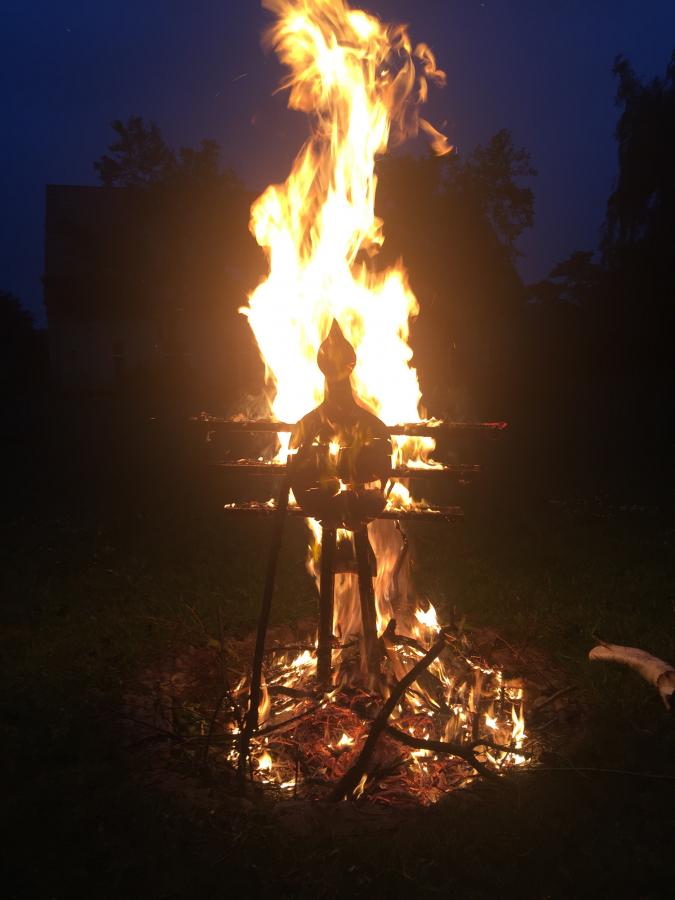 Phönix im Feuer