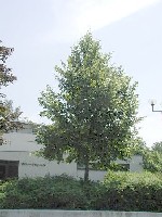 Reinsdorf Reinsdorf