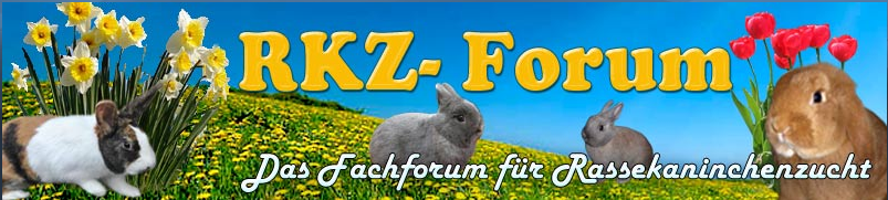 rkz-forum