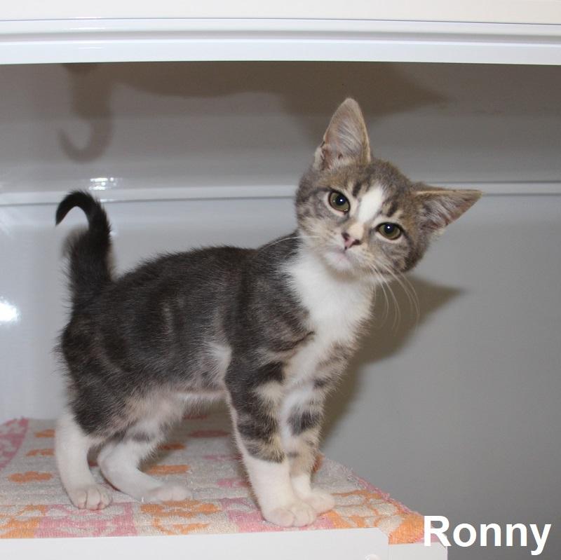 Ronny