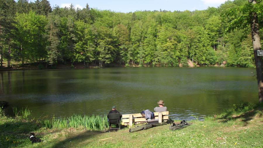Beste Spielothek in Urnshausen finden Beste Spielothek in Urnshausen finden