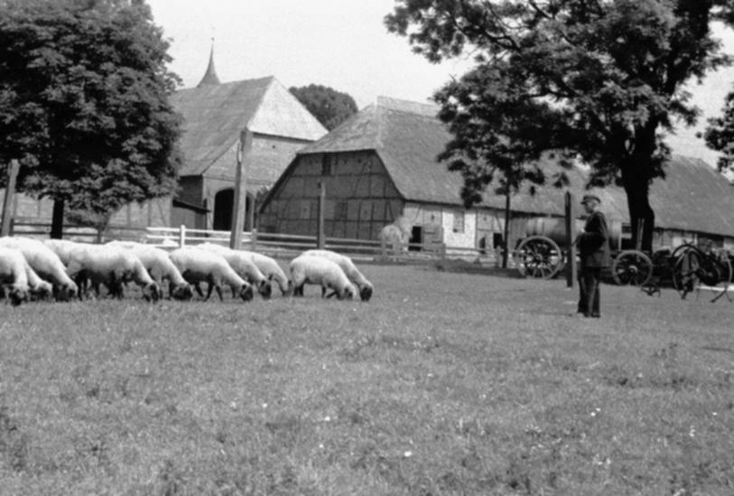 Schäfer Gauck und die Schafsscheune