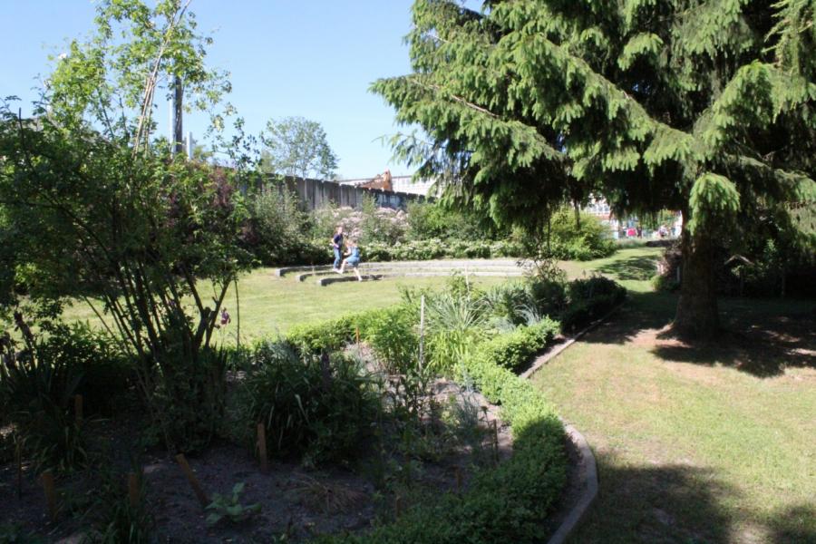Schulgarten Schulgarten