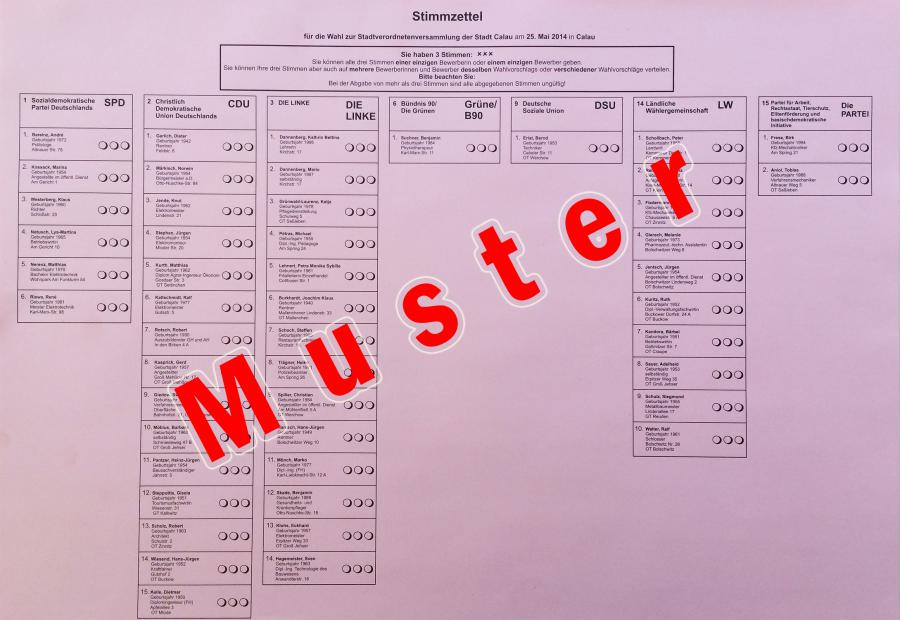 Stimmzettel-Muster