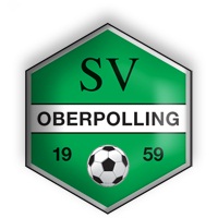 SVO Logo 3-D