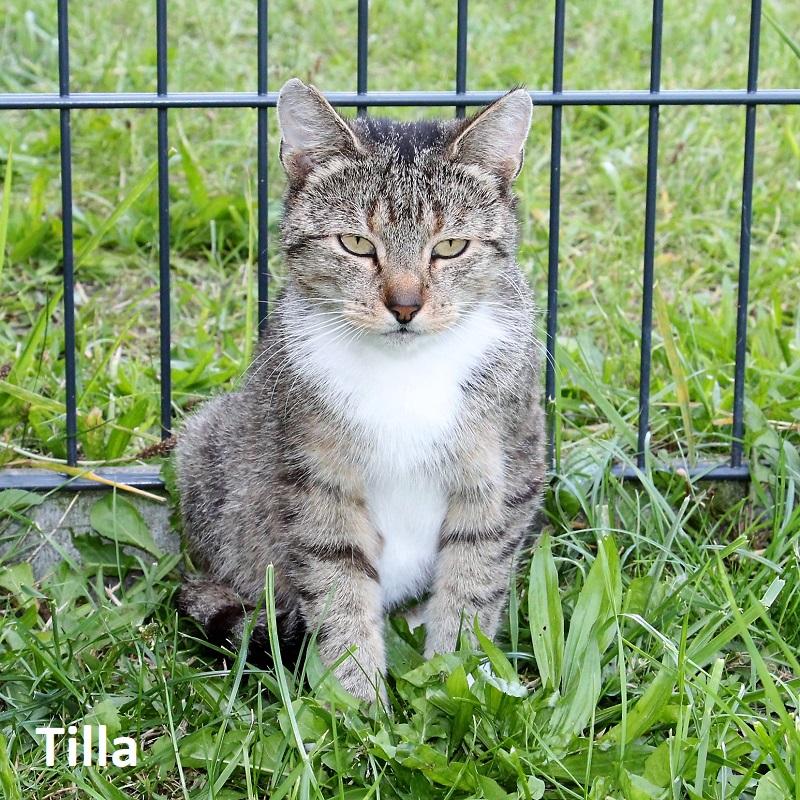 Tilla