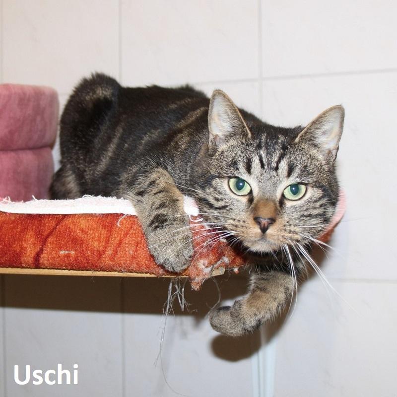 Uschi 2