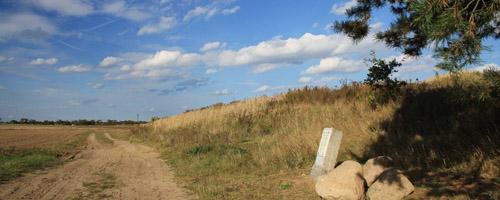 Wandern_Liederweg_Feldflur