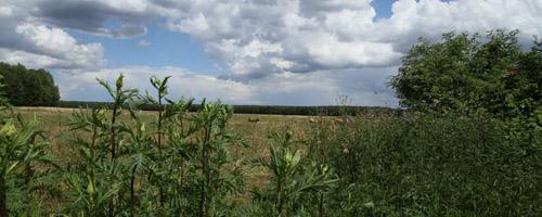 Wandern_NERW_Feld