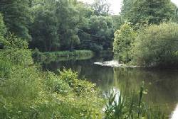 Spreelauf Neuhausen.jpg Spreelauf Neuhausen.jpg