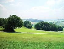 Stauden