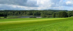 Weiher