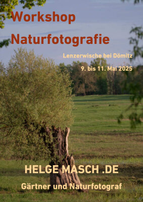 Foto zur Veranstaltung