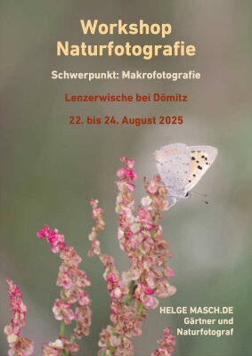 Foto zur Veranstaltung