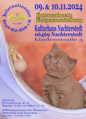 Foto zur Veranstaltung