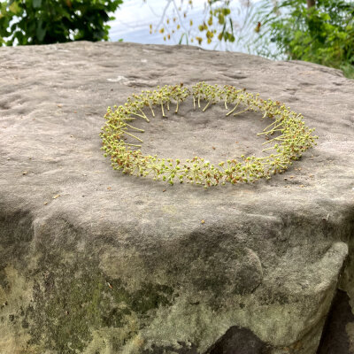 Veranstaltung: Jana Wilsky: Kreativ im Einklang mit der Natur: LandArt entdecken So 01. 06. 2025