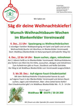 Säg' dir deine Weihnachtskiefer!© Waldhaus Blankenfelde