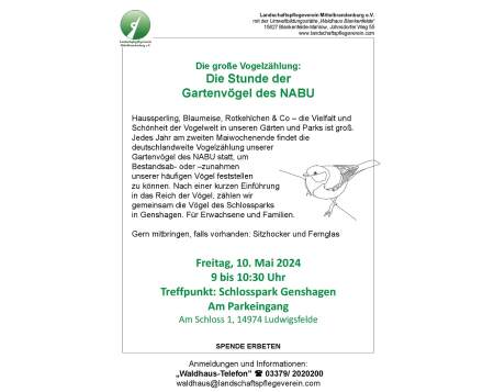 Veranstaltung: Die große Vogelzählung: Die Stunde der Gartenvögel des NABU