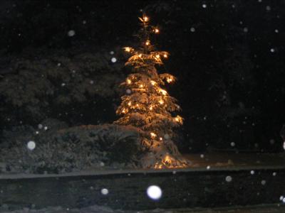 Weihnachten in Dalberg (Bild vergrößern)