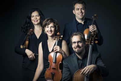 Gropius-Quartett, Foto: promo (Bild vergrößern)