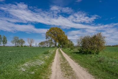 Feldweg in der Feldmark (Fotograf: Lutz Weigelt)