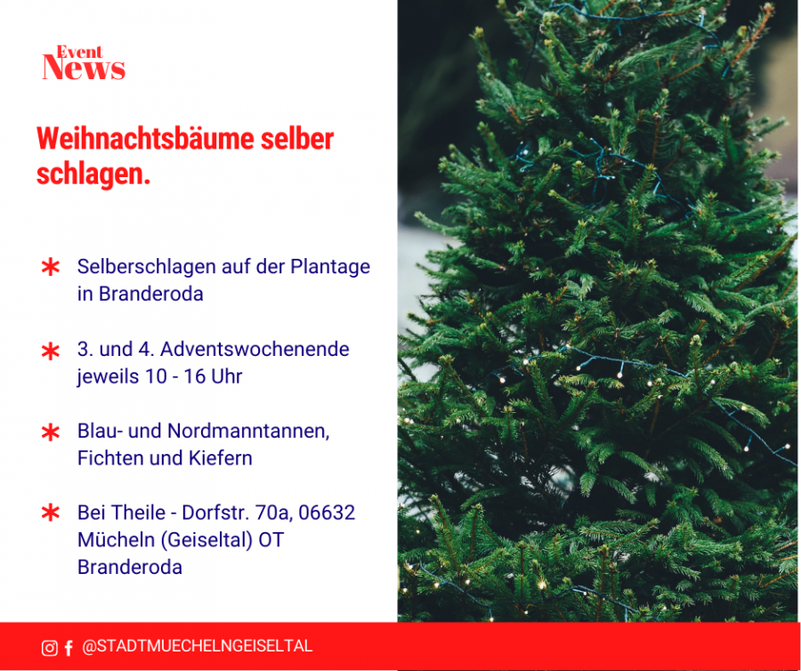 Weihnachtsbaum selber schlagen Stadt Mücheln (Geiseltal)