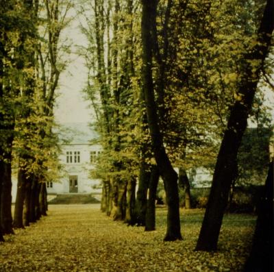 Blick durch die Lindenallee zum Schloss Fechenbach, um 1965
