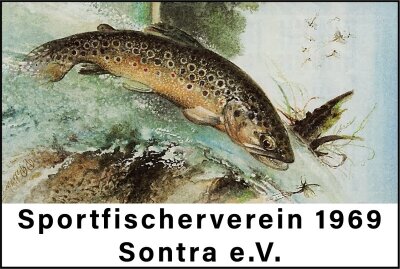 Foto zur Veranstaltung (Bild vergrößern)