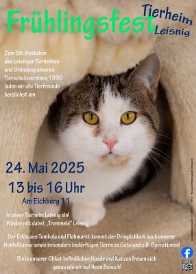 Foto zur Veranstaltung (Bild vergrößern)
