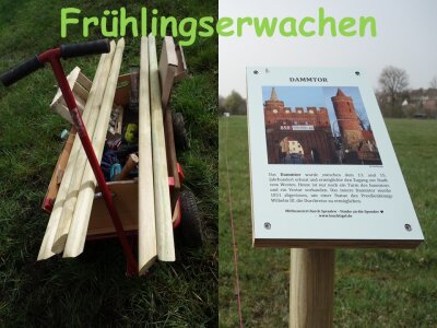 Foto zur Veranstaltung (Bild vergrößern)