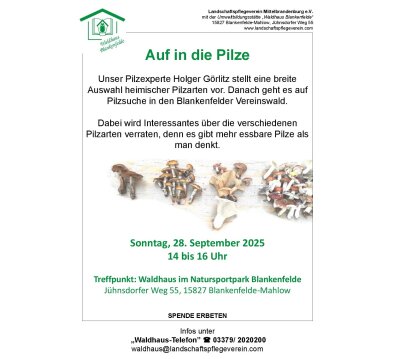 Veranstaltung: Auf in die Pilze So 28. 09. 2025