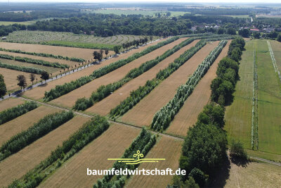 Veranstaltung: Klimalandschaft Brandenburg – mit Agroforst vom Heizkraftwerk zur Wolkenfabrik So 20. 07. 2025