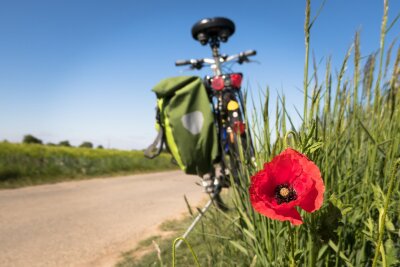 Veranstaltung: Fahrradtour rund um Kalbe Do 21.​08.​2025
