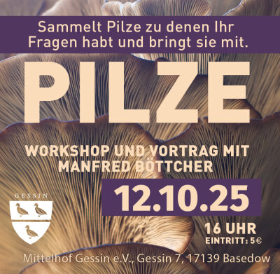 Pilze Poster