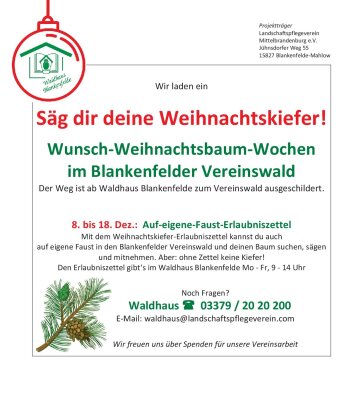 Veranstaltung: Wunsch-Weihnachtsbaum-Wochen im Blankenfelder Vereinswald 08.  -  18. Dez 2025
