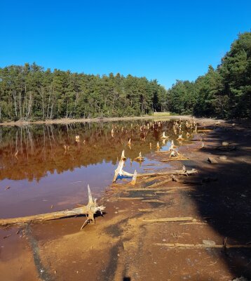 Foto zur Veranstaltung (Bild vergr&ouml;&szlig;ern)