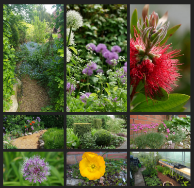 Collage mit Bildern aus dem Feinschmeckergarten im Monat Mai