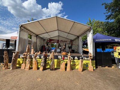 Beach &amp; Bike Kettensägen-Schnitzen