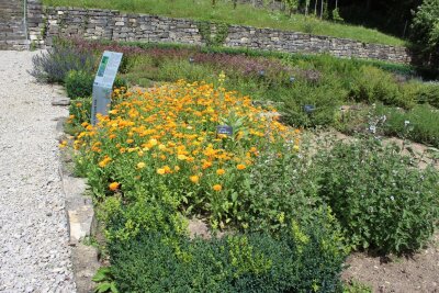 Frische Kr&auml;uter aus dem eigenen Garten - Bildervortrag &uuml;ber den Anbau, die Nutzung und Haltbarmachung von Kr&auml;utern