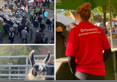 Tiere, Roter Pulli mit Schriftzug Ortsverein Gutengermendorf, Bild vom Markt mit verschiedenen Menschen. (Bild vergr&ouml;&szlig;ern)