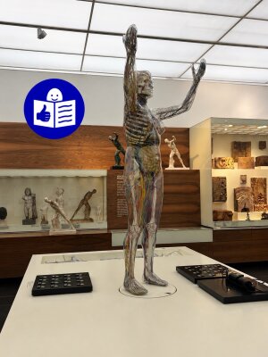 Auf dem Bild sieht man eine durchsichtige Figur, die "Gläserne Frau", welche die Arme nach oben hält. Man erkennt die Knochen, Organe und Nervenbahnen des Körpers. Die Figur steht auf einem weißen Tisch. Im Hintergrund sind weitere Ausstellungsstücke. in der linken oberen Ecke befindet sich das Piktogramm für Leichte Sprache. (Bild vergr&ouml;&szlig;ern)