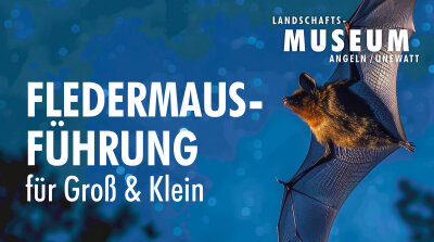 Fledermausführung