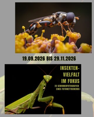 Veranstaltung: Vernissage "Insektenvielfalt im Fokus. 22 Gewinnerfotografien eines Fotowettbewerbs"