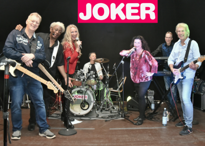 Joker (Bild vergr&ouml;&szlig;ern)