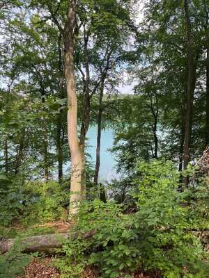 Liepnitzsee (Foto: Naturpark Barnim) (Bild vergr&ouml;&szlig;ern)