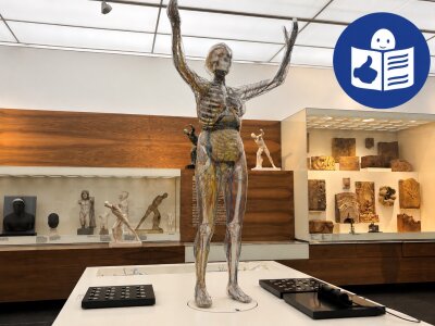 Auf dem Bild sieht man einen menschlichen Körper in einem Museum, welcher die Arme nach oben hält. Der Körper ist durchsichtig und zeigt die Muskeln, Knochen und Organe im Inneren. Im Hintergrund stehen weiteren Figuren und Ausstellungsstücke. In der rechten oberen Ecke erkennt man das Piktogramm für Leichte Sprache. (Bild vergr&ouml;&szlig;ern)