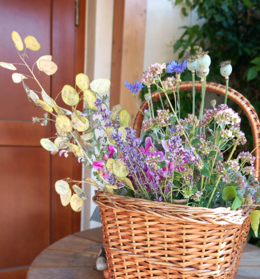 Silbertaler, Muskatellersalbei, Mohn, Lavendel, Kornblume, Borretsch